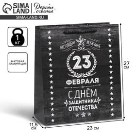 Пакет подарочный ламинированный, упаковка, «С 23 февраля», ML 23×27×11.5 см