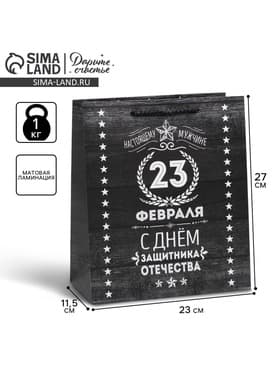 Пакет подарочный ламинированный, упаковка, «С 23 февраля», ML 23×27×11.5 см