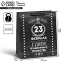 Пакет подарочный ламинированный, упаковка, «С 23 февраля», ML 23×27×11.5 см