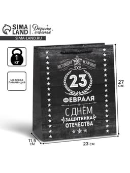 Пакет подарочный ламинированный, упаковка, «С 23 февраля», ML 23×27×11.5 см