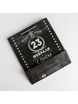 Пакет подарочный ламинированный, упаковка, «С 23 февраля», ML 23×27×11.5 см