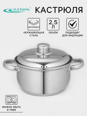 Кастрюля Катунь «Гретта», 2.5 л, d=18 см, с крышкой, капсульное дно, индукция, нержавеющая сталь, AISI - 201, хромированная