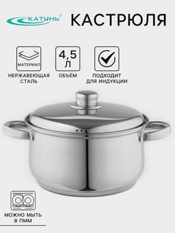 Кастрюля Катунь «Гретта», 4.5 л, d=22 см, с крышкой, капсульное дно, индукция, нержавеющая сталь, AISI - 201, хромированная