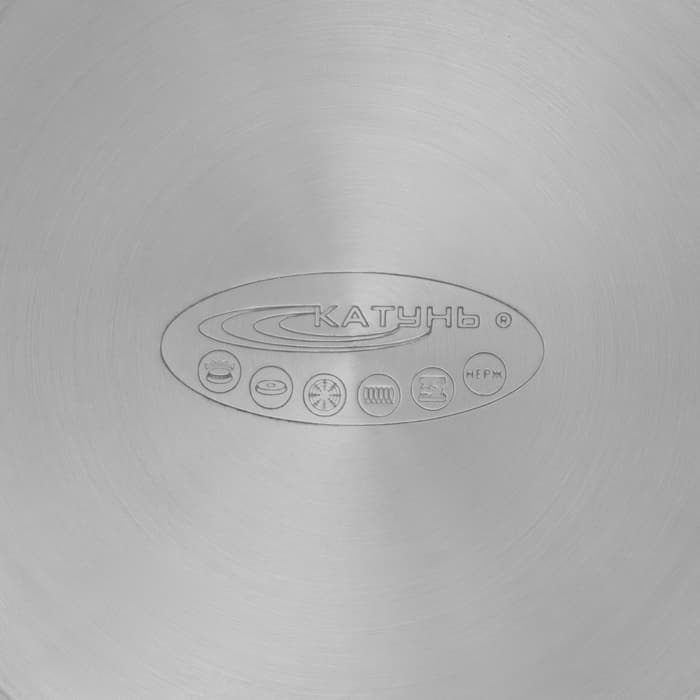 Кастрюля Катунь «Гретта», 4.5 л, d=22 см, с крышкой, капсульное дно, индукция, нержавеющая сталь, AISI - 201, хромированная