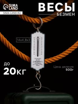 Весы-безмен Luazon, механические, до 20 кг, цена деления 500 г, синие
