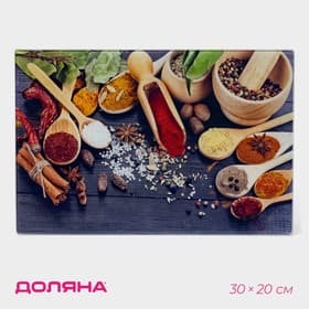 Доска разделочная Доляна «Пряности», 30×20 см, стекло