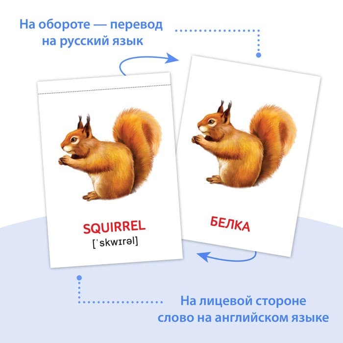 Книги «Карточки Домана на английском языке», набор 8 шт. по 24 стр.