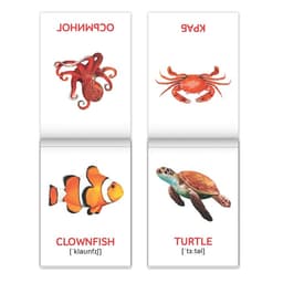 Книги «Карточки Домана на английском языке», набор 8 шт. по 24 стр.