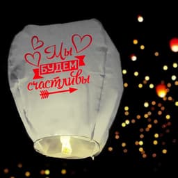 Фонарик желаний «Мы будем счастливы», купол, МИКС