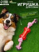 Игрушка канатная, с косточкой, до 90 г, до 26 см, цвет МИКС