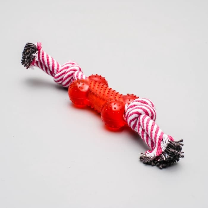 Игрушка канатная, с косточкой, до 90 г, до 26 см, цвет МИКС