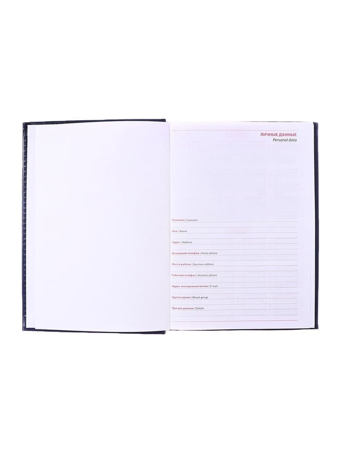 Ежедневник недатированный Calligrata. Nebraska, А5, 160 листов, твёрдый переплёт, кожзам, синий