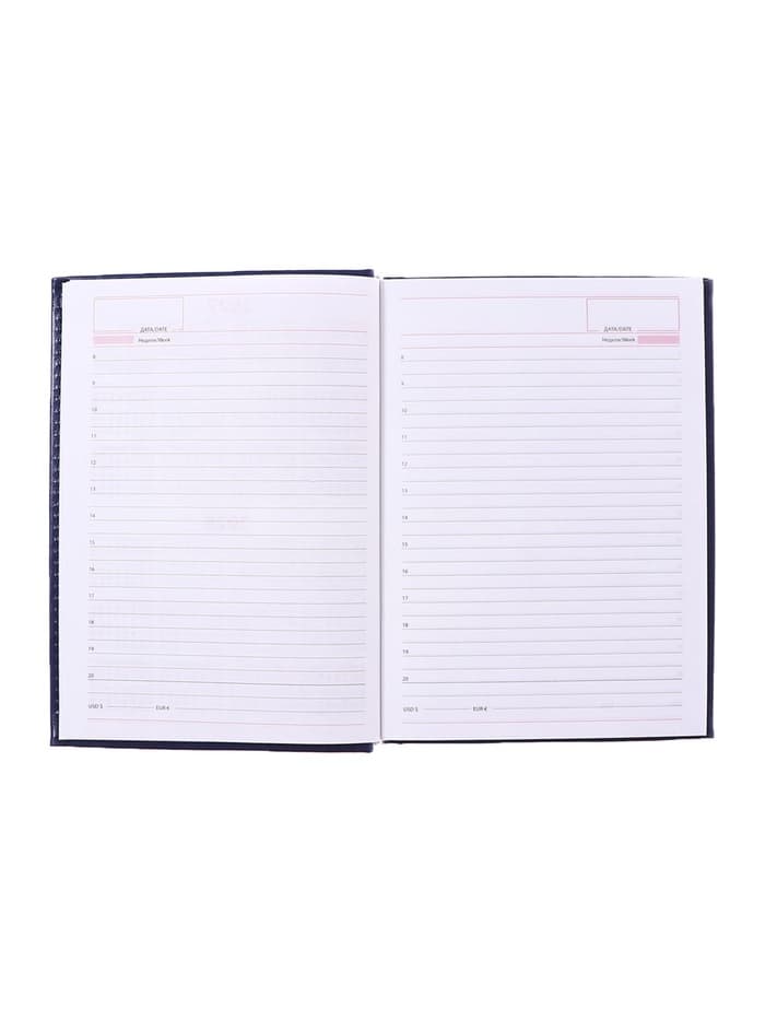 Ежедневник недатированный Calligrata. Nebraska, А5, 160 листов, твёрдый переплёт, кожзам, синий