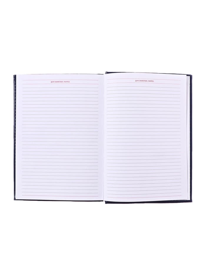 Ежедневник недатированный Calligrata. Nebraska, А5, 160 листов, твёрдый переплёт, кожзам, синий