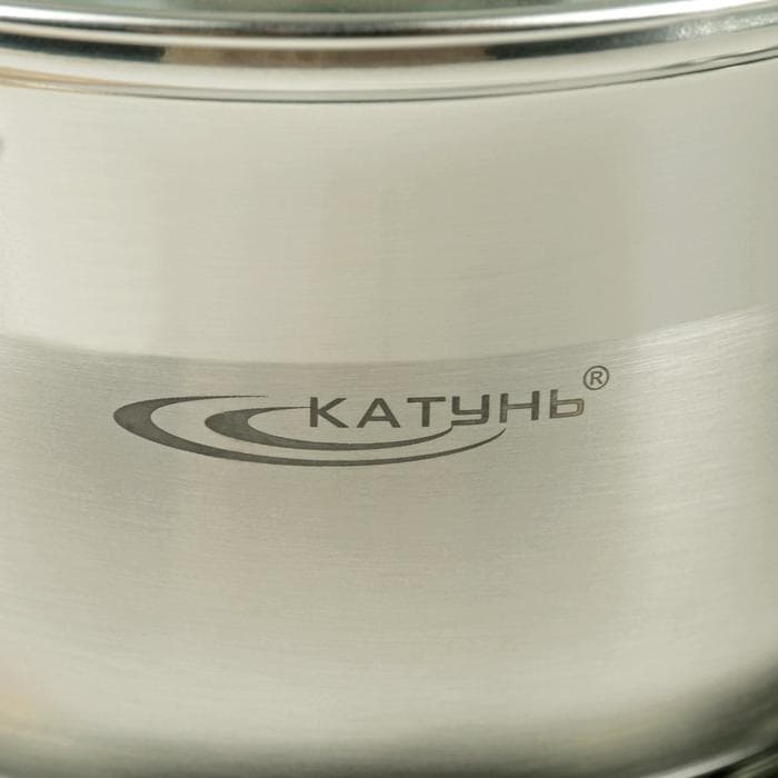 Набор кастрюль Катунь «Ирида», 2 предмета: 2.9 л, 3.9 л, капсульное дно, индукция, нержавеющая сталь, AISI - 201