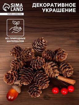 Новогодний декор «Пряные шишки»