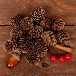 Новогодний декор «Пряные шишки»