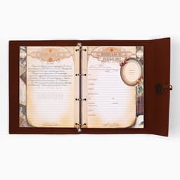 Родословная книга «Наш род», 56 листов, коричневый, 35×23.5 см