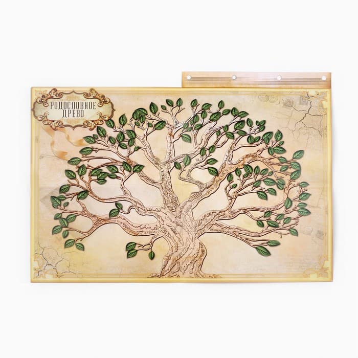 Родословная книга «Наш род», 56 листов, коричневый, 35×23.5 см