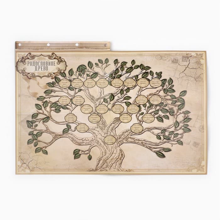 Родословная книга «Наш род», 56 листов, коричневый, 35×23.5 см