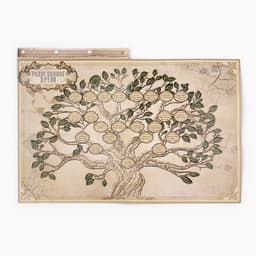 Родословная книга «Наш род», 56 листов, коричневый, 35×23.5 см