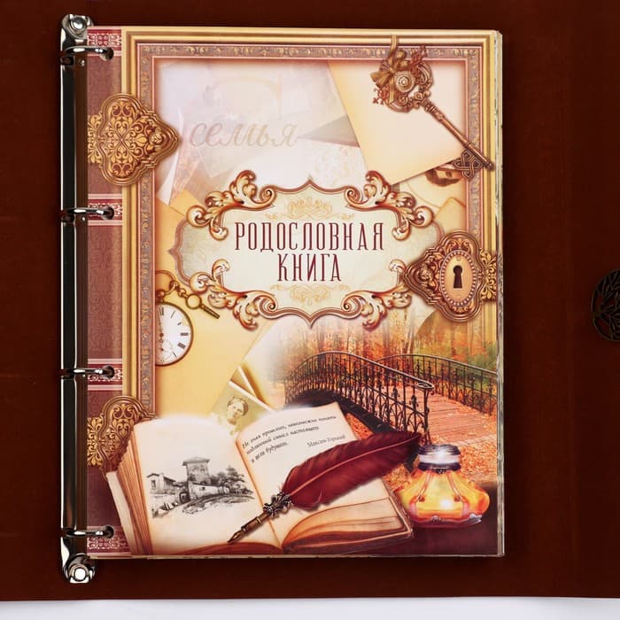 Родословная книга «Наш род», 56 листов, коричневый, 35×23.5 см