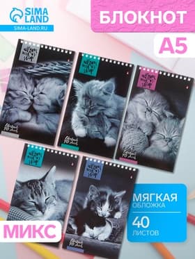 Блокнот «Альт. Кошки», А5, 40 листов, на гребне, МИКС