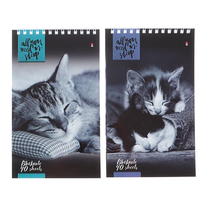 Блокнот «Альт. Кошки», А5, 40 листов, на гребне, МИКС