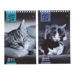 Блокнот «Альт. Кошки», А5, 40 листов, на гребне, МИКС