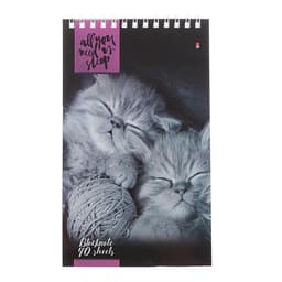 Блокнот «Альт. Кошки», А5, 40 листов, на гребне, МИКС