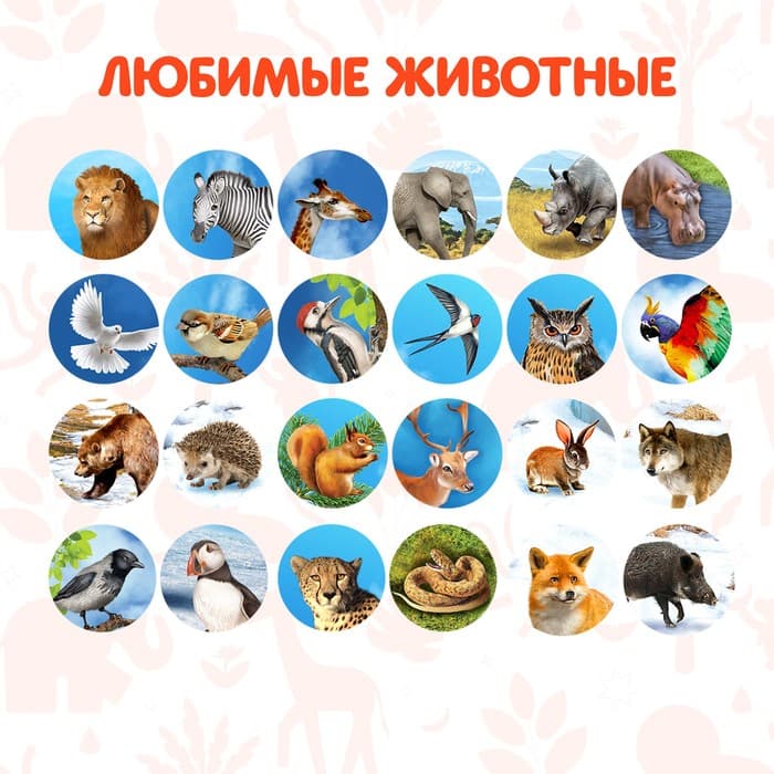 Проектор-фонарик ZABIAKA «Мир зверей», световые эффекты, 3 слайда, 24 картинки, МИКС