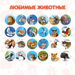 Проектор-фонарик ZABIAKA «Мир зверей», световые эффекты, 3 слайда, 24 картинки, МИКС