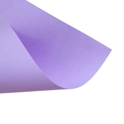 Бумага цветная Calligrata «Для офисной техники», А4, 12 листов, 12 цветов, тонированная в массе, 80 г/м²