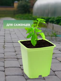 Горшок для рассады, 500 мл, 9×9×10 см, салатовый