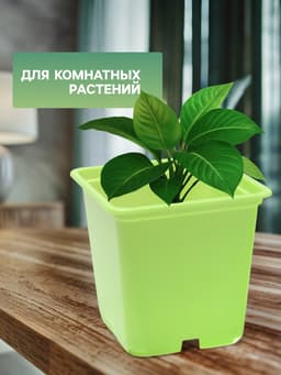 Горшок для рассады, 500 мл, 9×9×10 см, салатовый