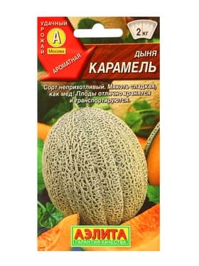 Семена Дыня «Карамель», 1 г, «Аэлита»
