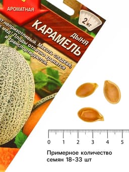 Семена Дыня «Карамель», 1 г, «Аэлита»