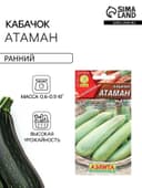Семена Кабачок цуккини «Атаман», 1 г, «Агрофирма АЭЛИТА»