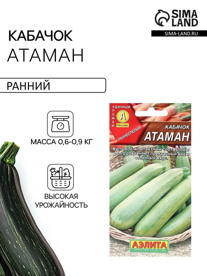 Семена Кабачок цуккини «Атаман», 1 г, «Агрофирма АЭЛИТА»