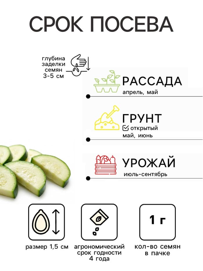 Семена Кабачок цуккини «Атаман», 1 г, «Агрофирма АЭЛИТА»