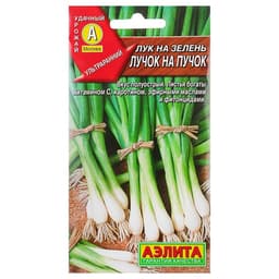 Семена Лук на зелень «Лучок на пучок», 0.5 г, «Аэлита»