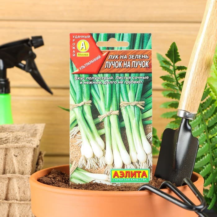 Семена Лук на зелень «Лучок на пучок», 0.5 г, «Аэлита»