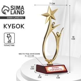 Статуэтка наградная «Наша гордость», 18×7 см, цвет золотой