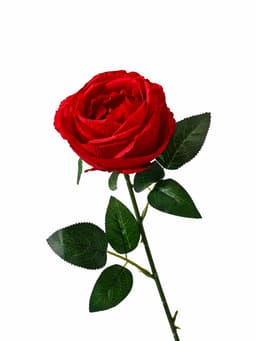 Цветы искусственные «Роза Охара», 8.5×56 см, красные