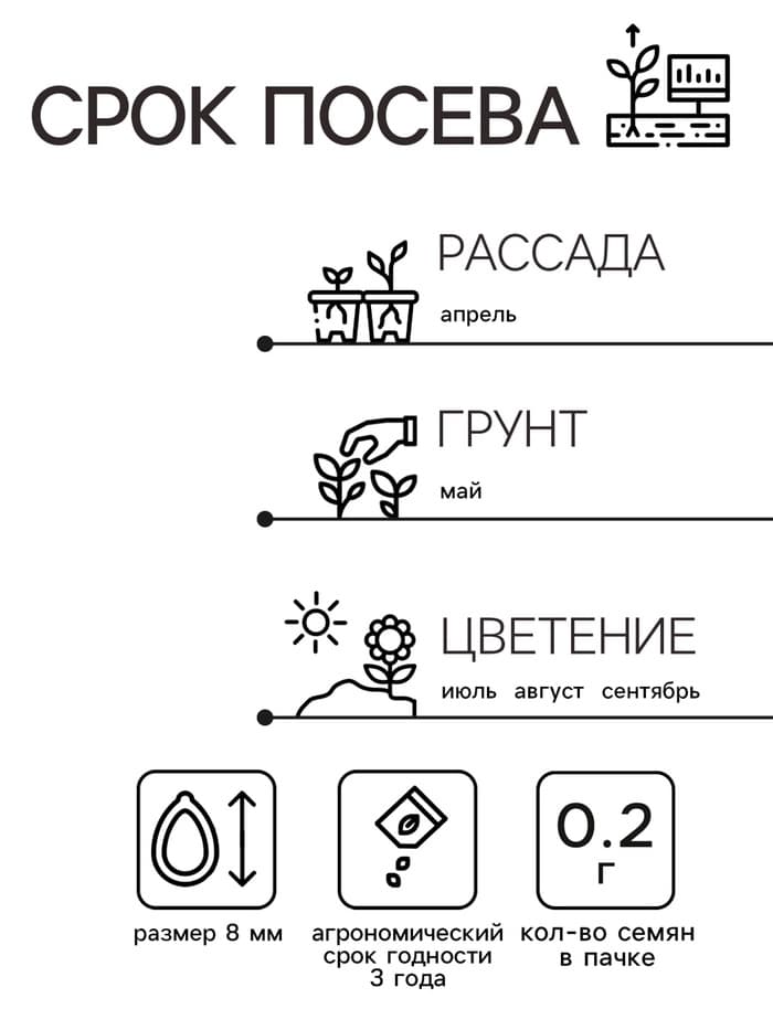 Семена цветов Астра «Пионовидная», смесь окрасок, 0.2 г, однолетник, «Аэлита»