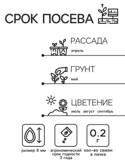 Семена цветов Астра «Пионовидная», смесь окрасок, 0.2 г, однолетник, «Аэлита»