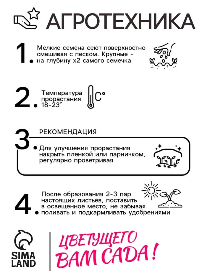 Семена цветов Астра «Пионовидная», смесь окрасок, 0.2 г, однолетник, «Аэлита»
