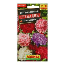 Семена цветов Гвоздика «Гренадин», турецкая, 0.05 г, «АЭЛИТА»