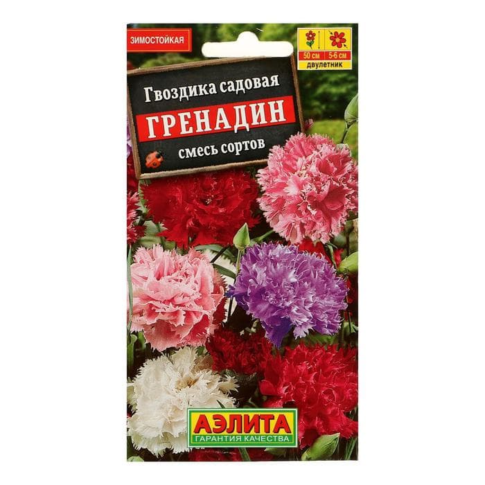 Семена цветов Гвоздика «Гренадин», турецкая, 0.05 г, «АЭЛИТА»