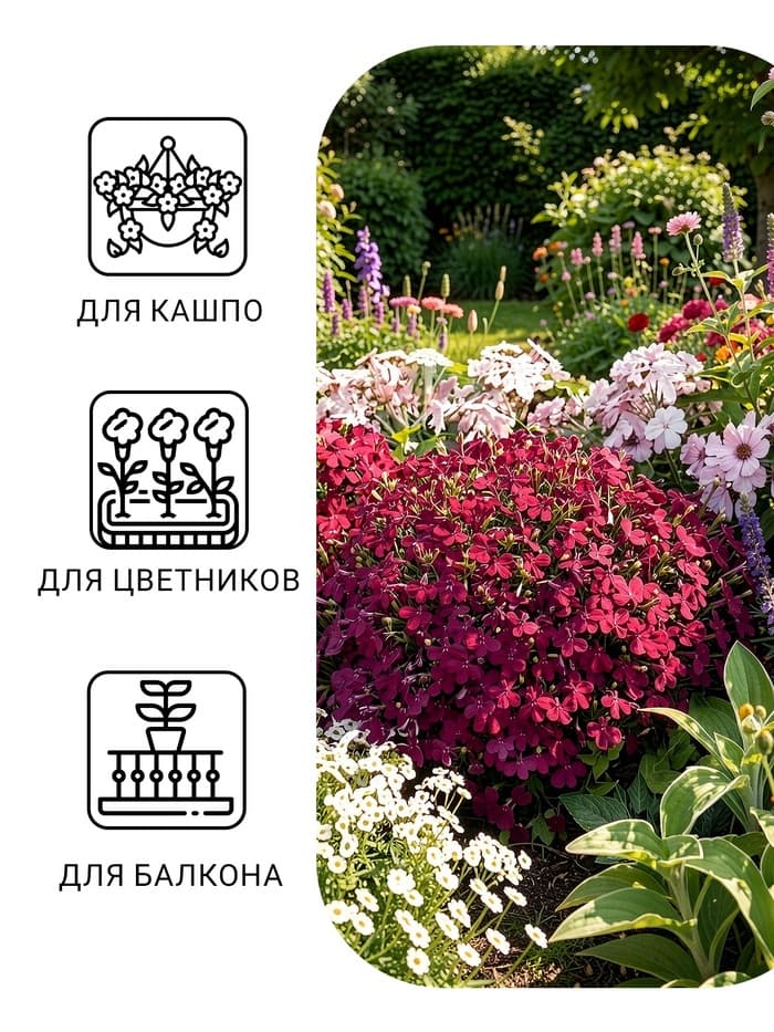 Семена цветов Лобелия «Император Вильям», 0.05 г, однолетник, «Аэлита»